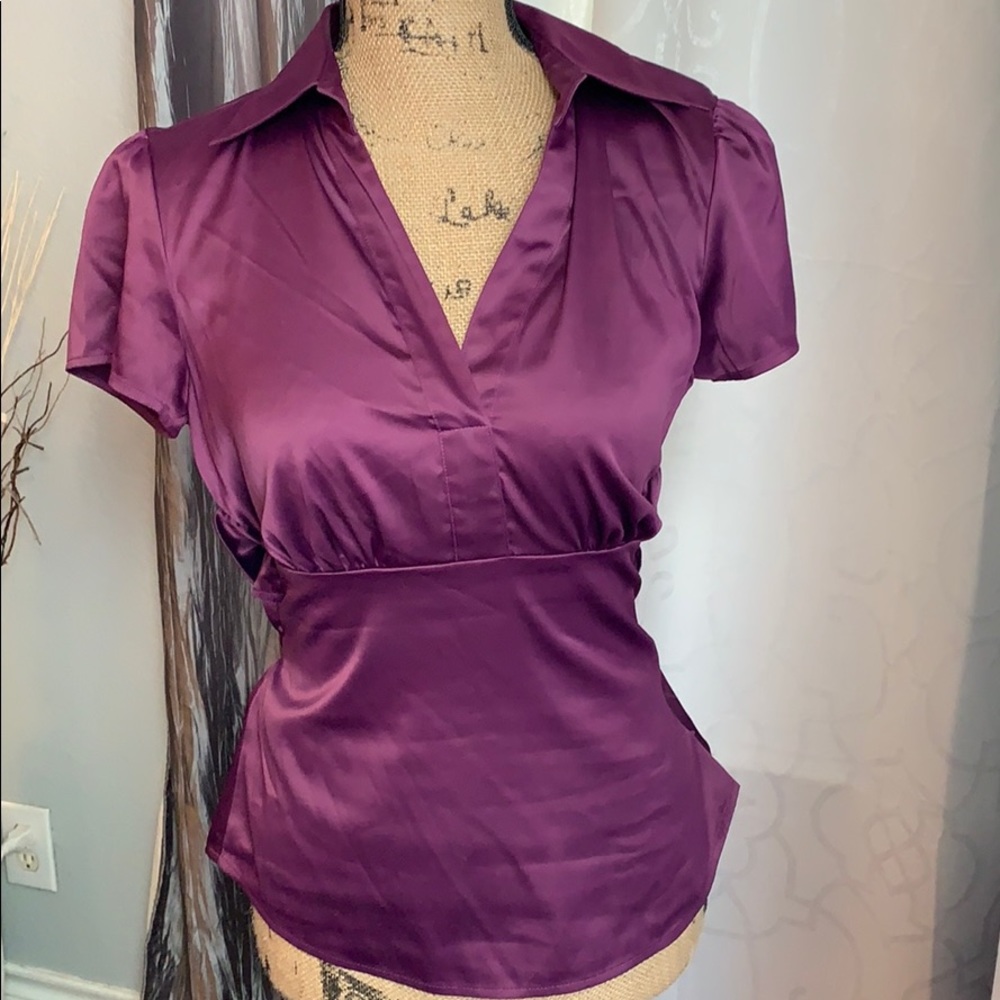 Ann Taylor Silk Purple/Burgundy Blouse